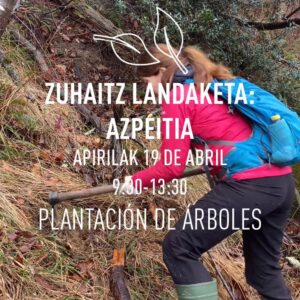 PLANTACIÓN DE ÁRBOLES